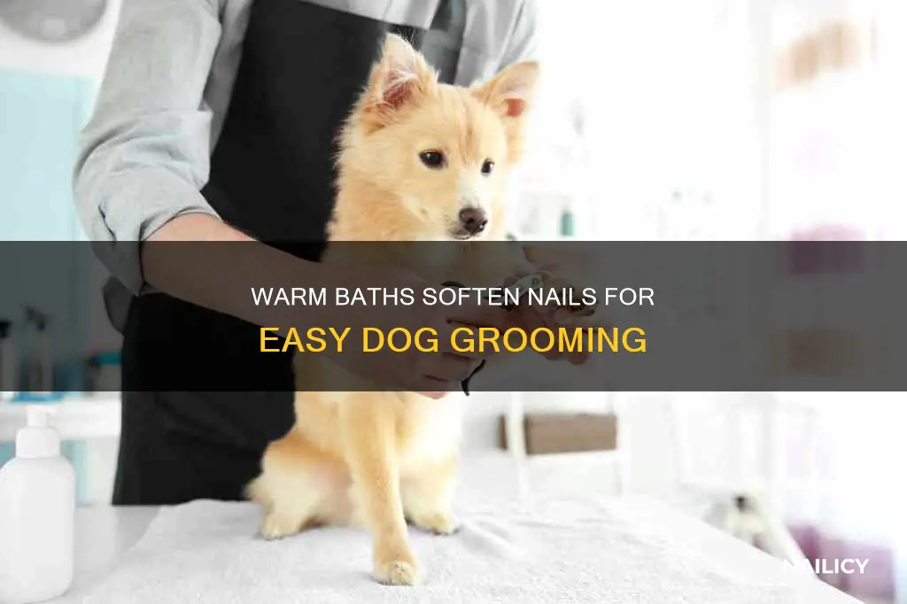 will putting dog in warm bath soften nails to cut