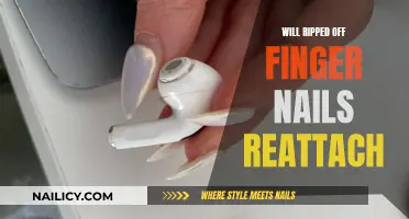 Can Torn Nails Reattach? The Science of Nail Healing