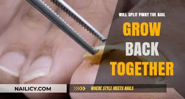 Split Toenail: Will It Grow Back Together?