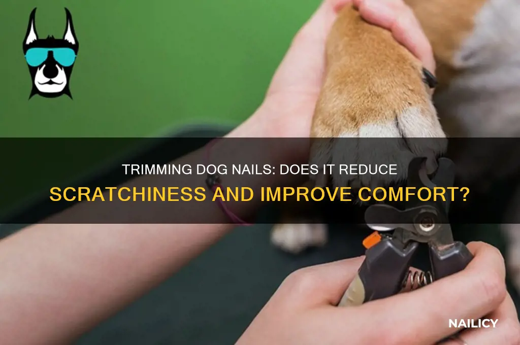 will teimming dog nails make them less scracyhy
