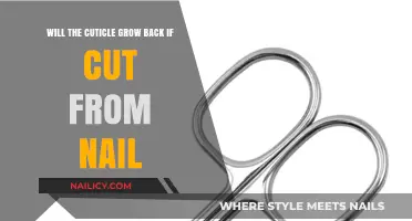 Cutting Cuticles: Do They Grow Back?