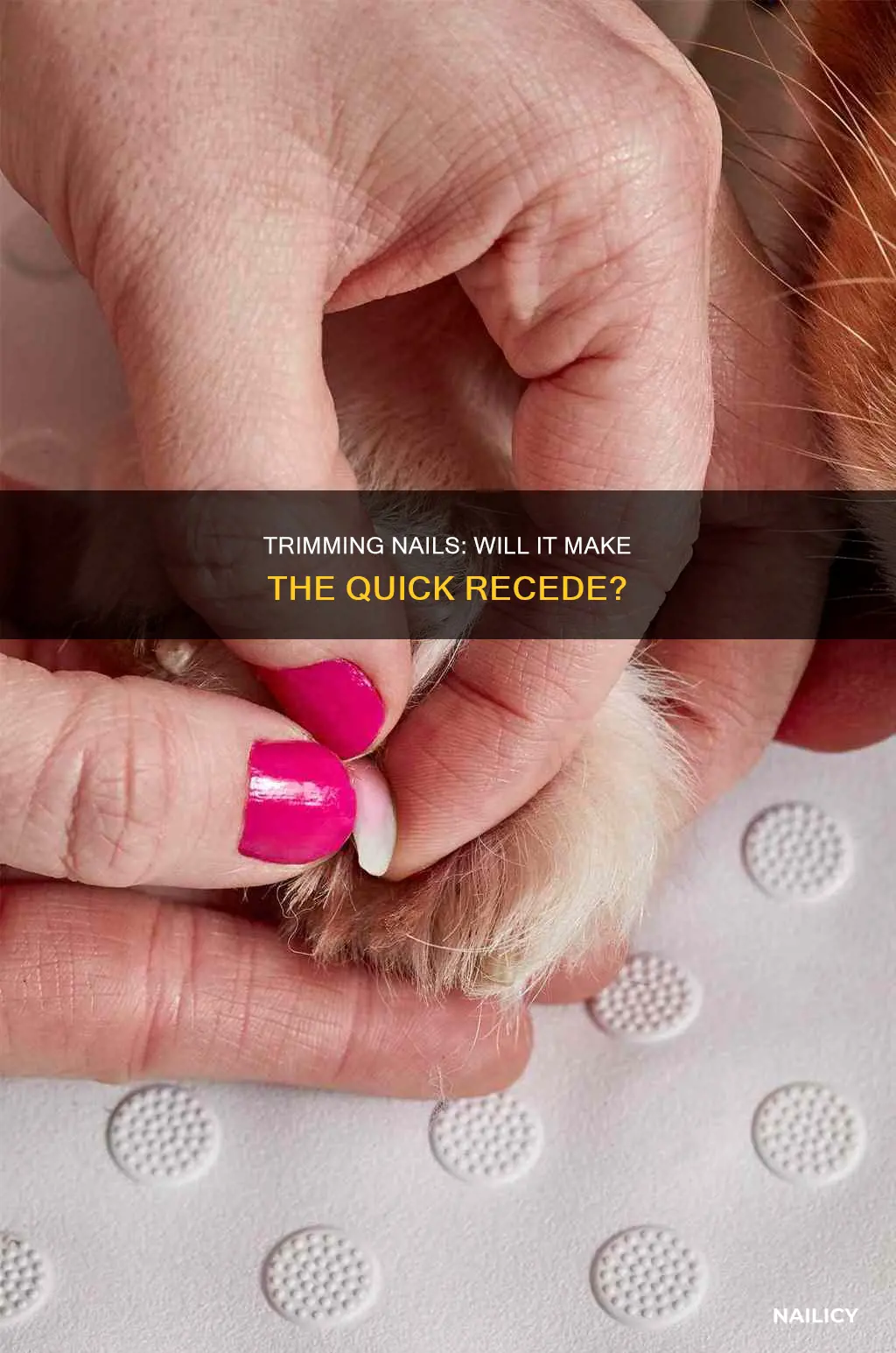 will the quick recede if i cut her nails more