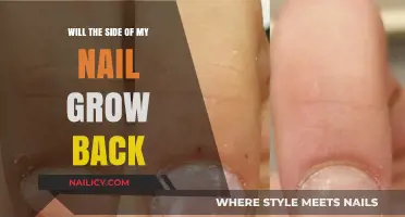 Nail Damage: Can Your Nails Grow Back?