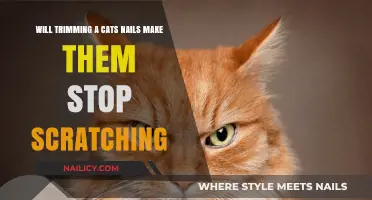 Trimming Cat Nails: Will It Stop Unwanted Scratching?