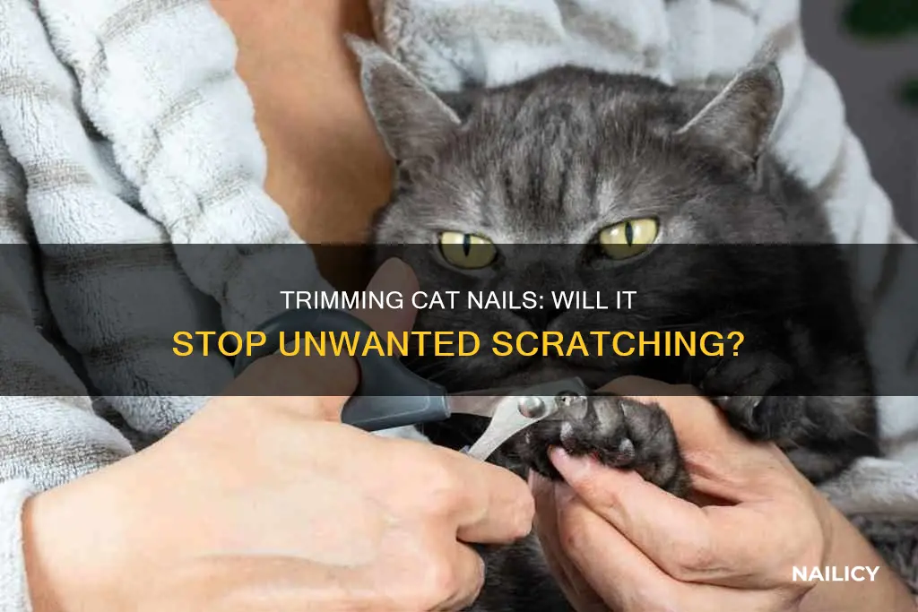 will trimming a cats nails make them stop scratching