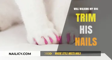 Walking Your Dog: The Natural Way to Trim Nails