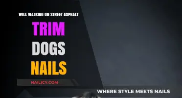 Street Walking: Trimming Dog Nails?