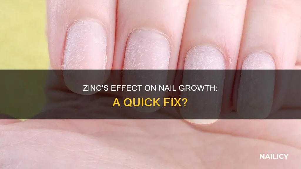 will zinc help my nails grow