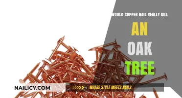 Can Copper Nails Harm Oak Trees? Separating Fact from Fiction