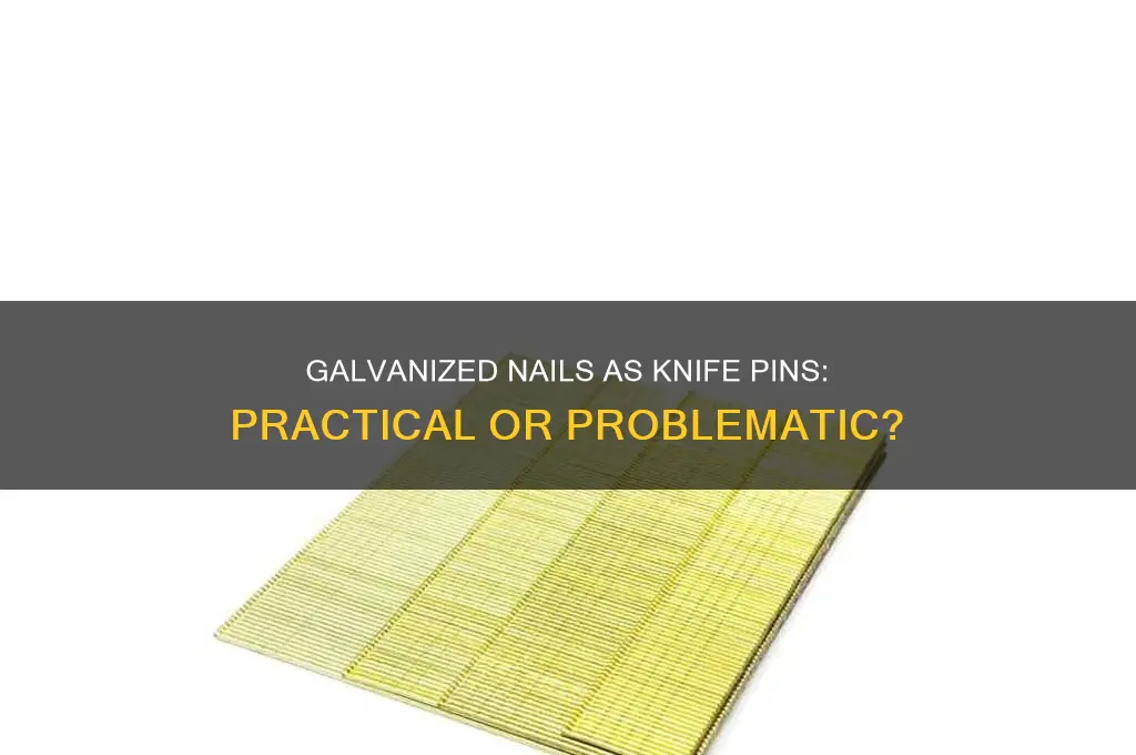 would galvanized nails work as knife pins
