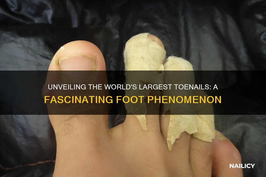 would largest feet nails